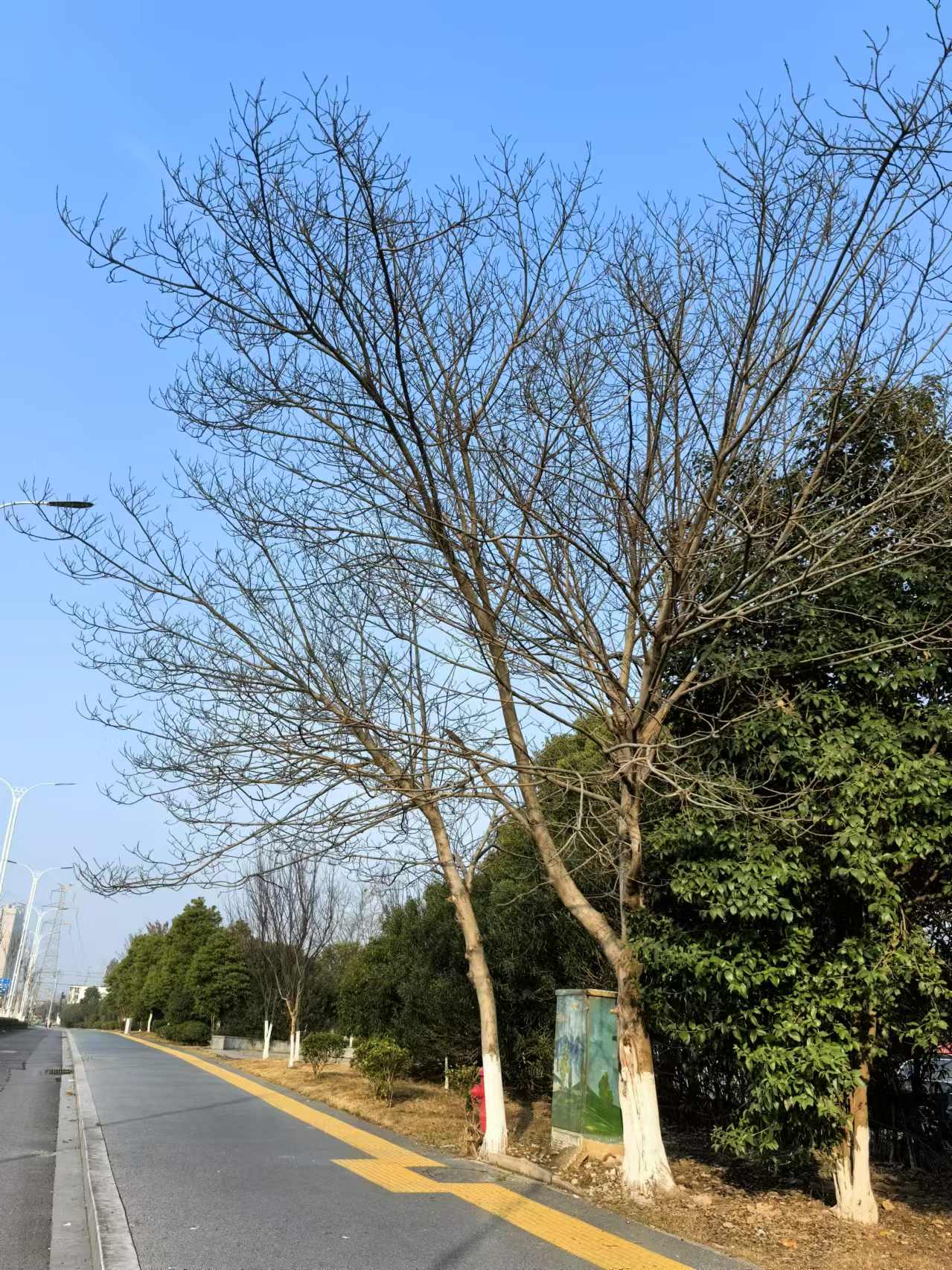 今天就开始上班了，春节感觉像做了一个梦